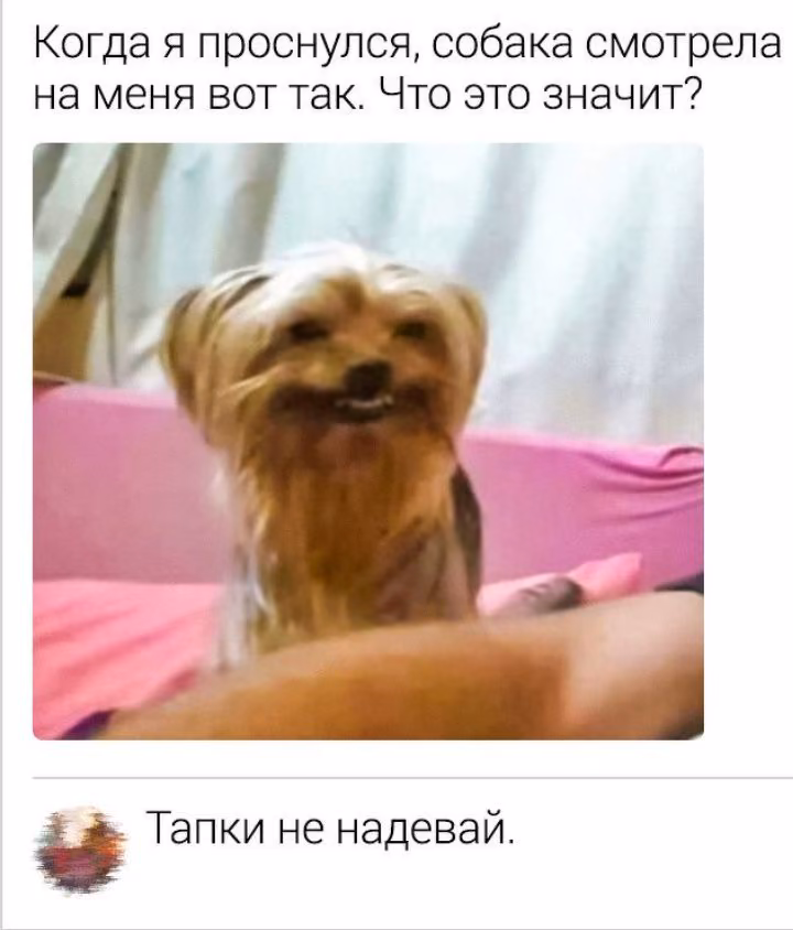 66f8c67fd25ade274e99d49d9b0b7a6b.jpg