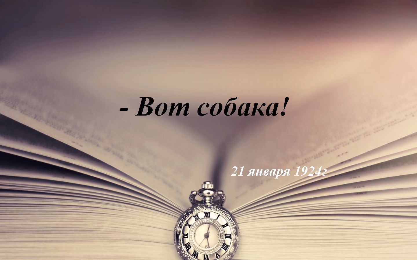 66fad0785617841edfd33810050357a2.avif