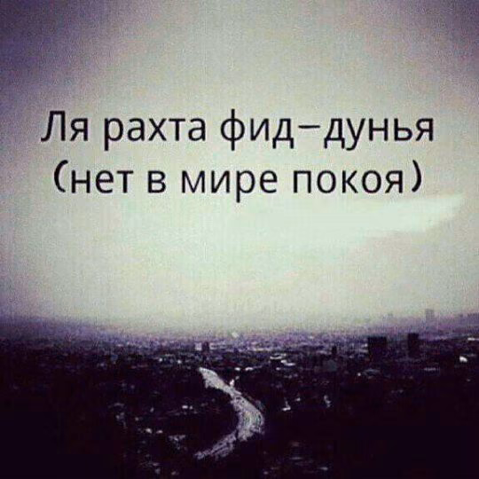 6705aad5a586697de8f68dc270b3e80b.avif