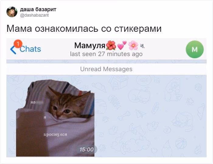 670ab80b0bedfa42a43f56dc1887d60b.avif