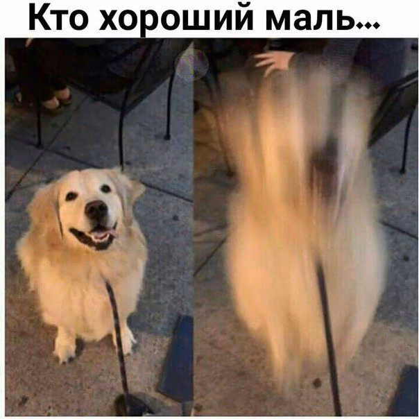 671e4efe1ca232fe0205f2cfc0d7309b.avif
