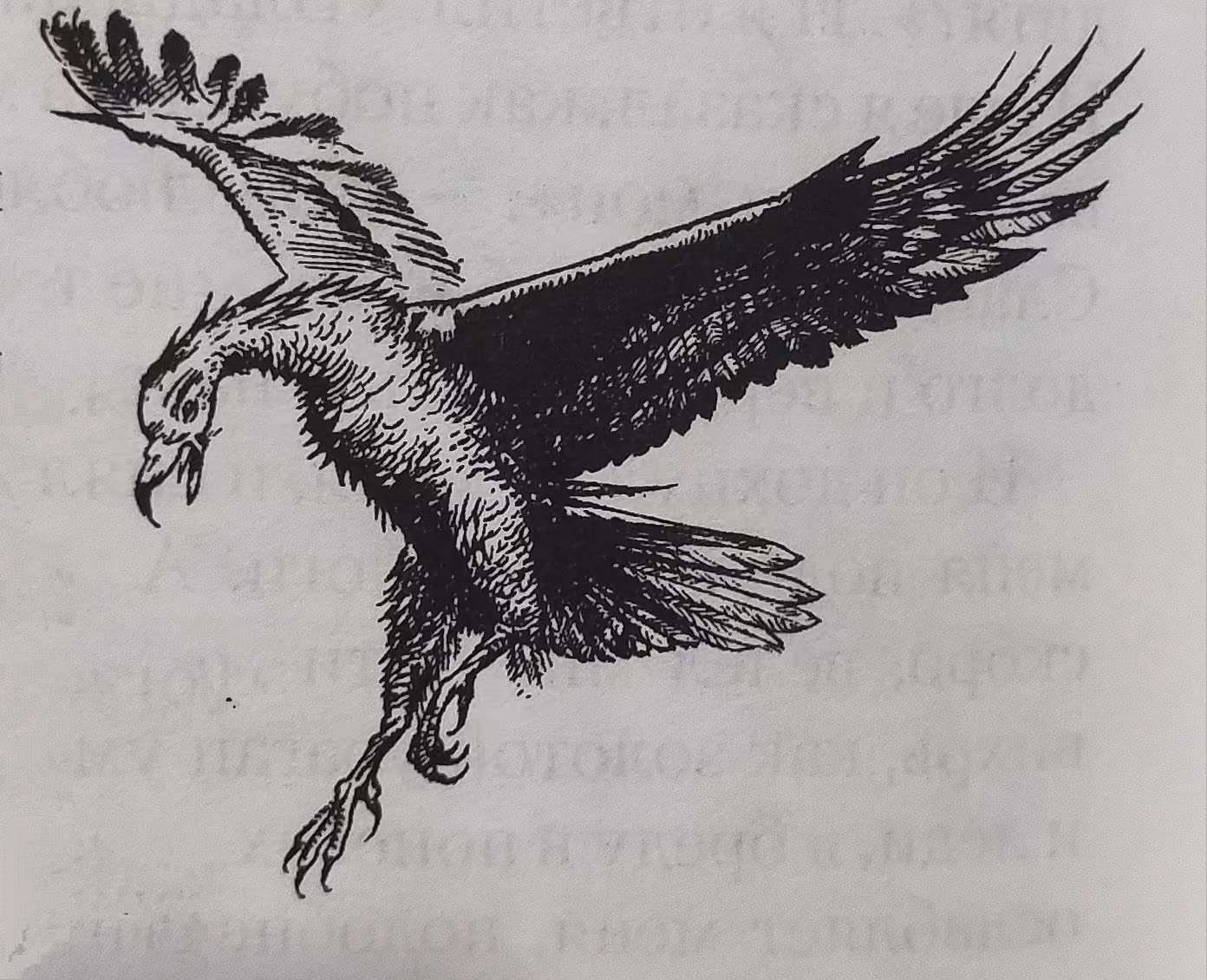 673f555ec2fbb2fd696d892f70862120.avif