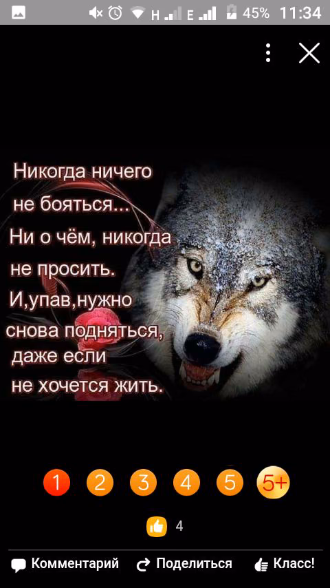 673fd2874f8654fcbb48844cabce2d91.jpg