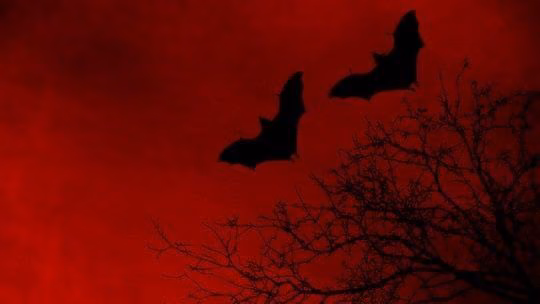 67463fa7b21f9db78121c1c062106727.avif