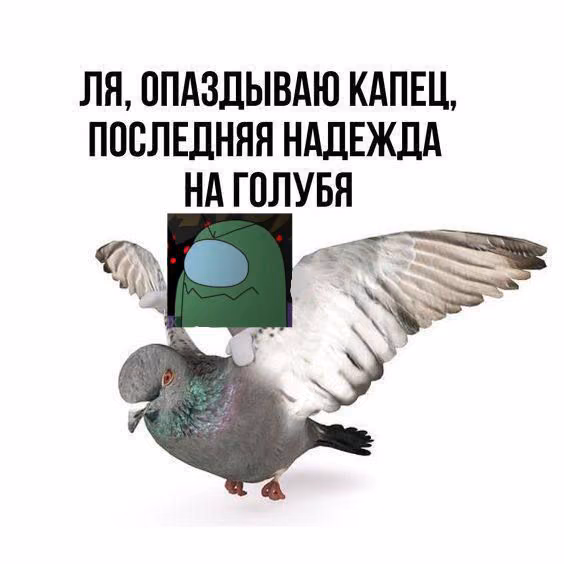 6747e57b2ef9ab003df8946a6bcd57f8.jpg