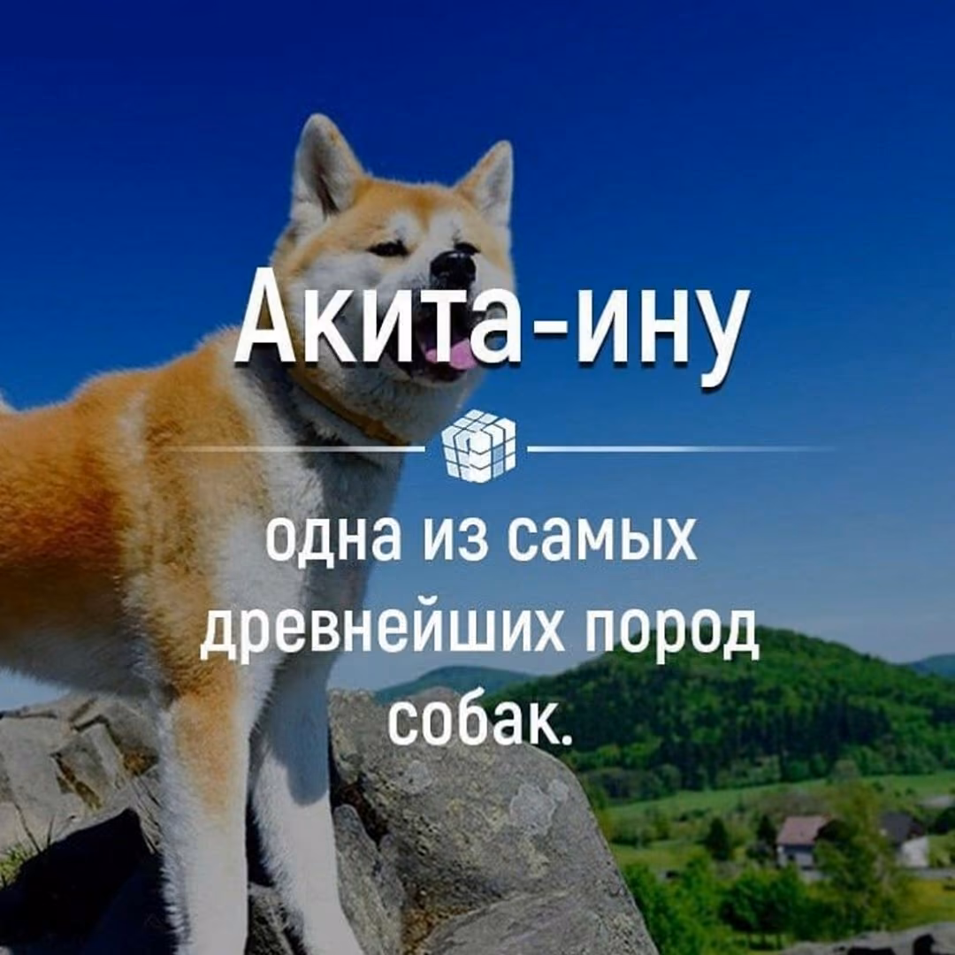 67495cb315908800eae0f668671b7f48.jpg