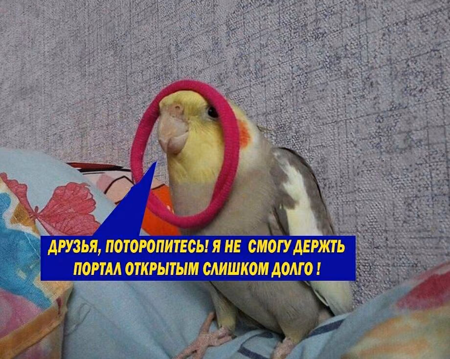 674fb54818b53ac354aff8835b9a6d8a.jpg