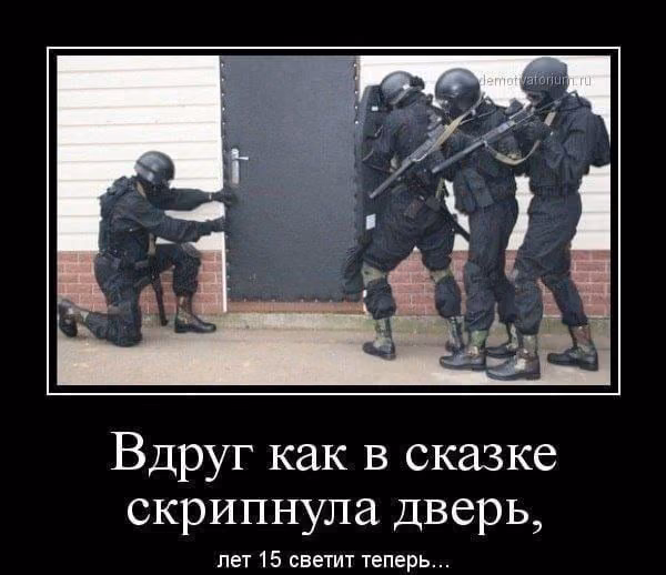 6750c3945603e5a79dd25bd5f469430b.avif