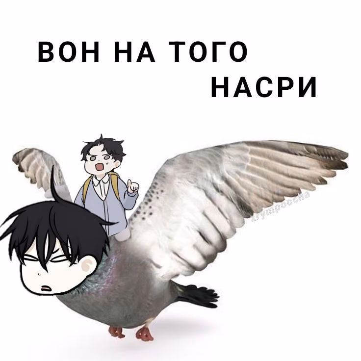 6765b68e08cf615867a4101bfc9b1629.avif