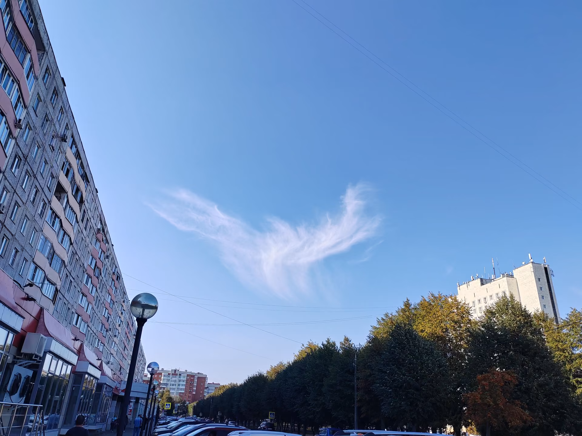 677505a1b20c0261c0774deae4f6b09a.jpg