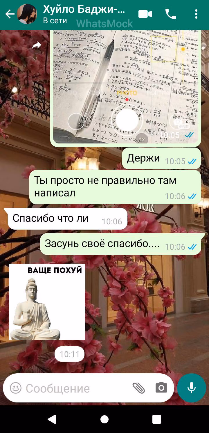 6782620c2c0939d3ccc817e117852815.avif