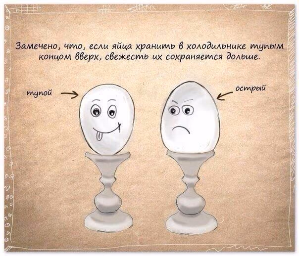 67900bd024f2e24f99c027c1bd76a078.avif