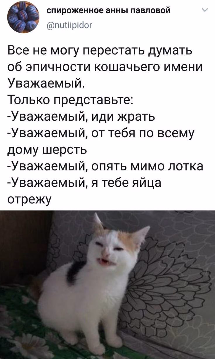 67a7ab8e5ac1e3ecd5e0c81cffc2ede2.avif