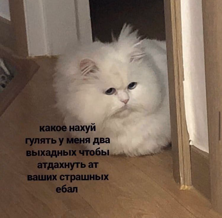 67ba7cfc10ee91d9ce59bbc4d5e1e9d9.jpg