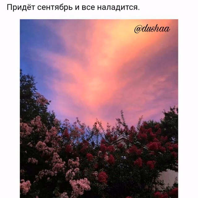 67de78d5de3fe794e12cc29f7c5aa39c.jpg