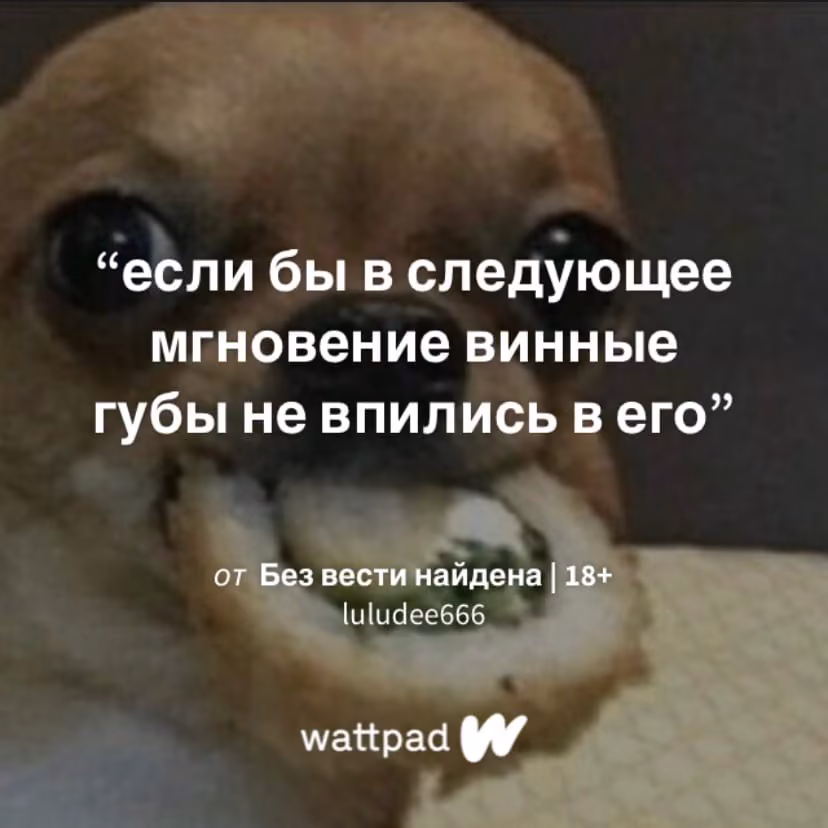 67e93c431e15eb619e7b2eb8f3c4d7e2.avif