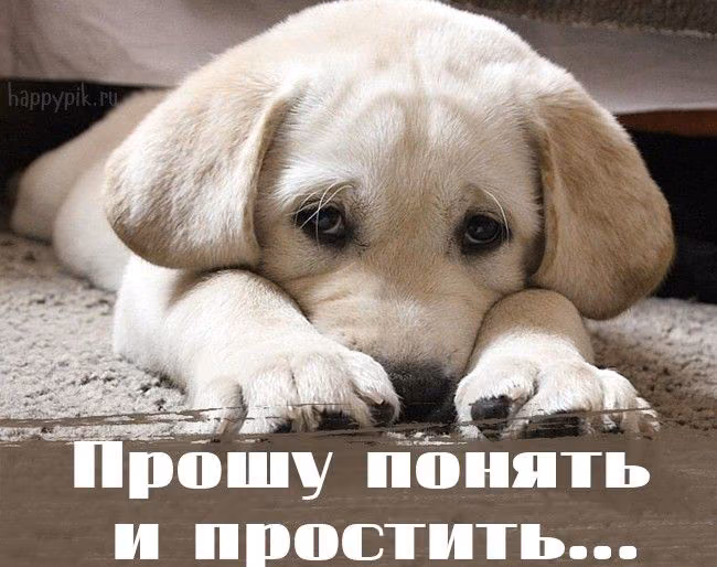 67f3bc584a0b4672dace286ec86d6079.avif