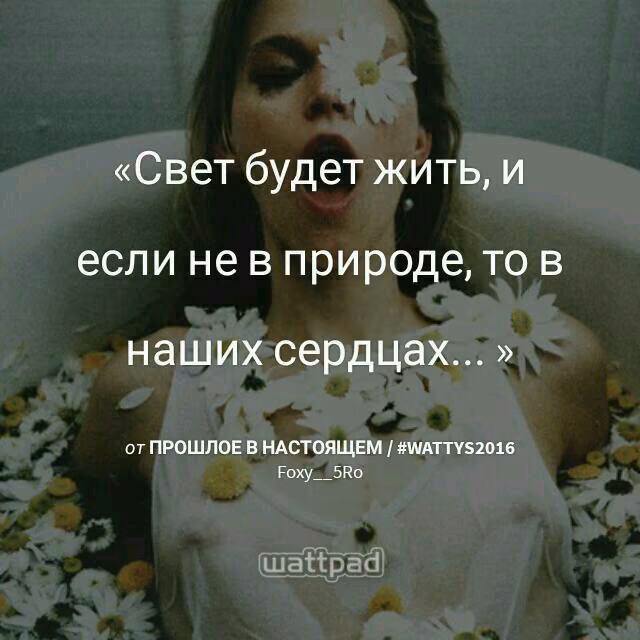 6803023eab1e4eef761535e23c100487.avif