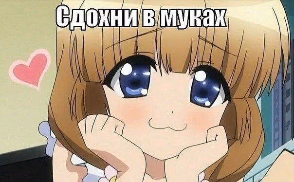 6814898617431da1b01604f631b7b4b3.jpg