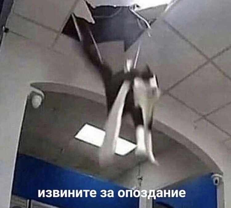 681ef61748668b6efb80341e05f7c323.jpg