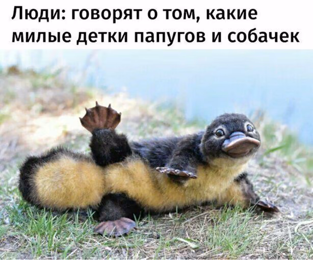 6821b50ef4b02b8807fecf02535bd33b.jpg