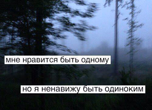 6821fdaba85116a0f77ee887c56dbfc0.avif