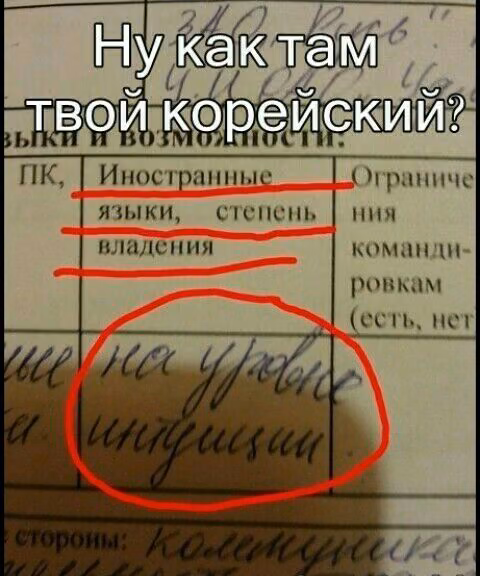 6831fd37f1a02757b007bebb1b0d92ad.avif