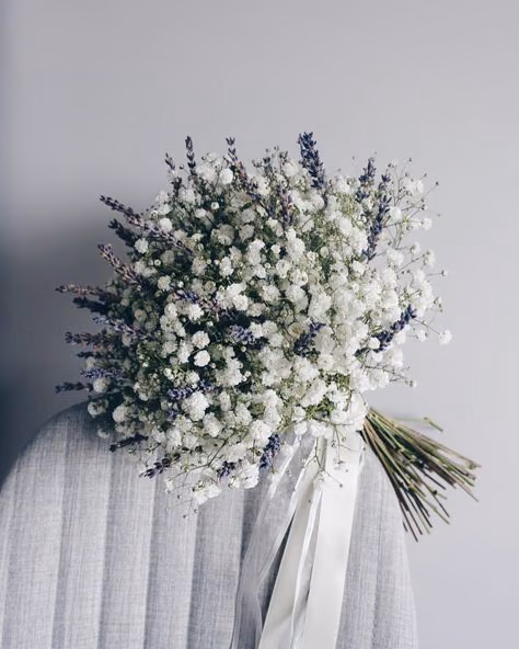 a7f12737249e18d9c75651e2c771d6bd.jpg