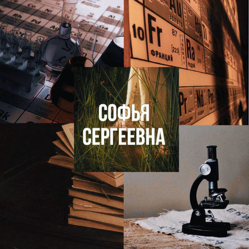 683381bb1f9fe16b564c2fef2fe0773b.avif