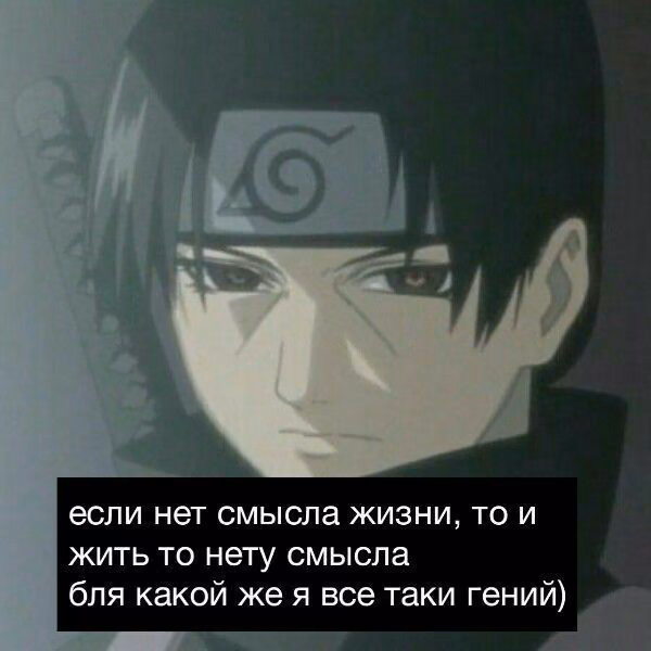 6842c215df1e5fbfbfdc9f628bd2f614.avif