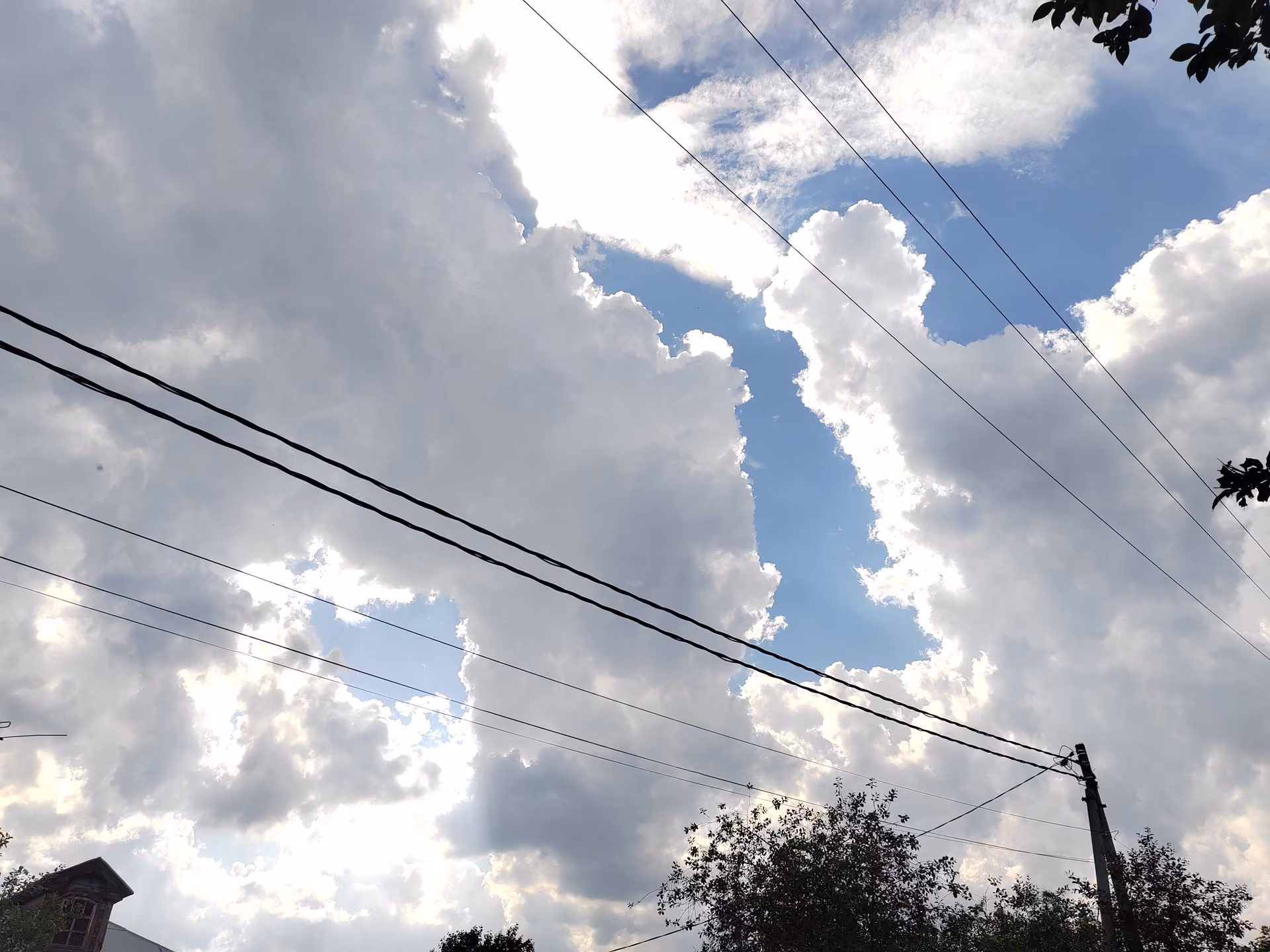 6858ef62bf12bbe9465f162f2406b0d8.jpg