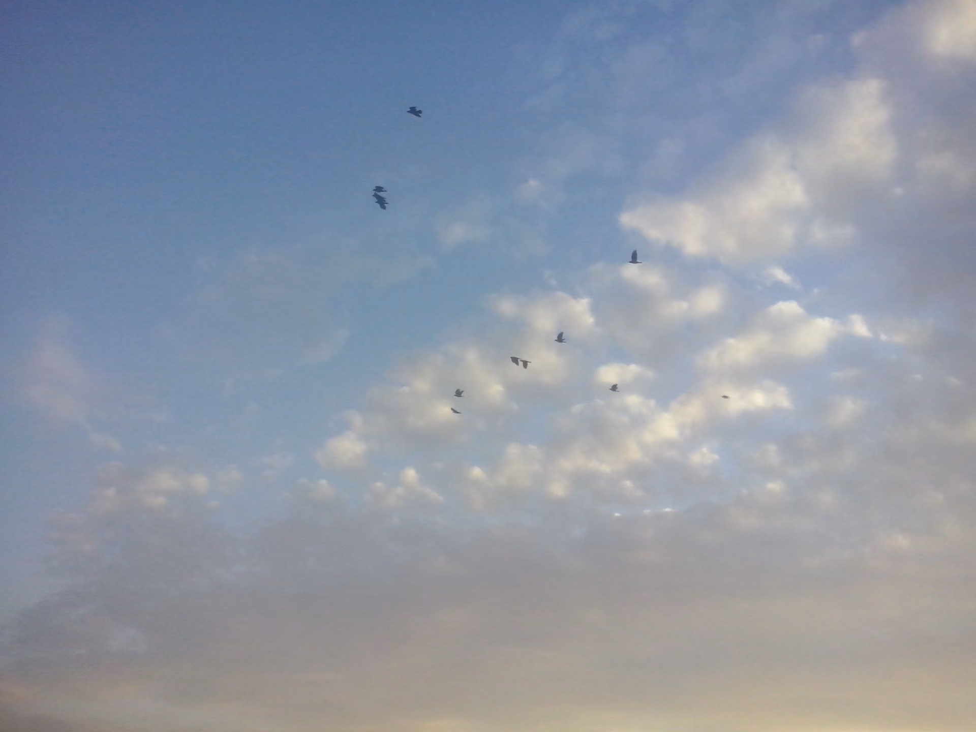 685a4ba67c383f96a2c5e96062b4c107.avif