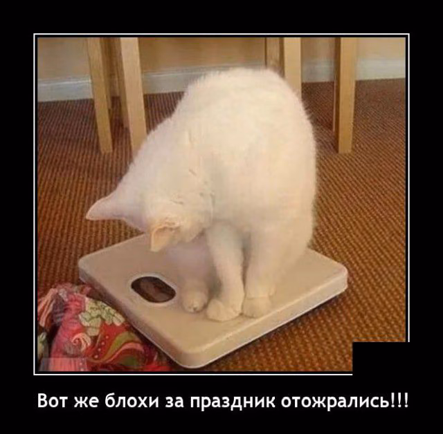685d31b2df0a04dad0ada54f6cf3b0dd.jpg