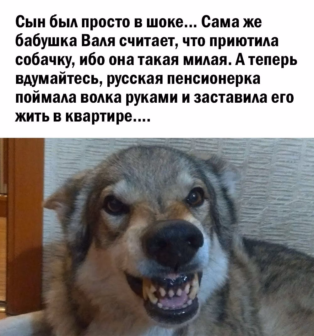 686392cbf2966a300ae243c4927cbfe4.avif