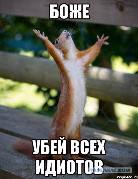 6864889fecec2cd17ada121ca84f1ea8.avif