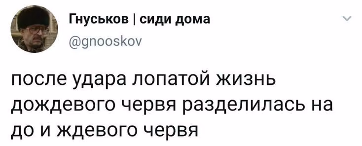 6875d6571cde248309b5b1b54e362eba.avif