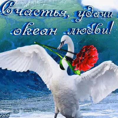 688a8a391b67ebb876d016074a858f84.avif
