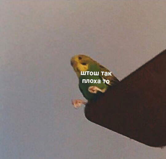 68a964ecc39a736d41d26146b2632110.avif