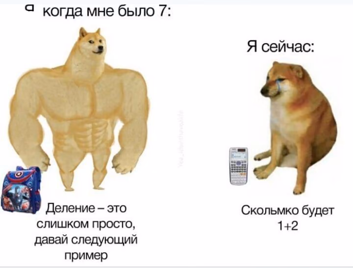 68dbeb1c0a576a33dbf288b75c9ae76a.jpg