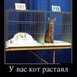 68e8049af7ef0bf029a5727be9ed2a01.avif