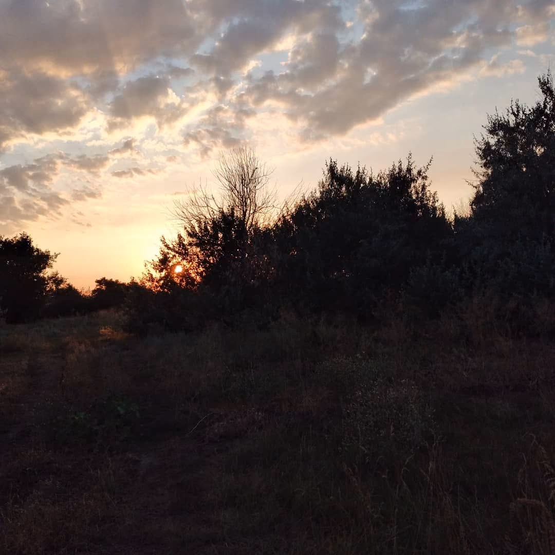 68ec8965ef8949415d44d97939e66af0.jpg
