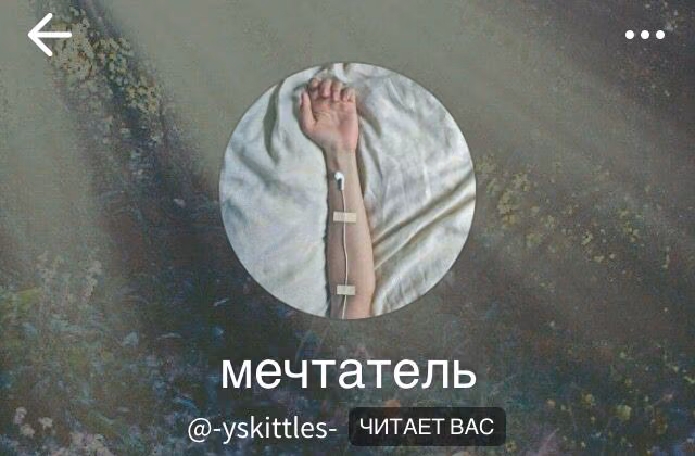 68f526a786db45b2f8c8ebe7b906b143.avif