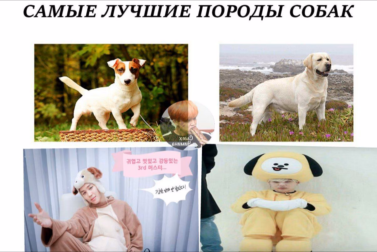 68f8f0668f87d256726de242b223f7c0.avif