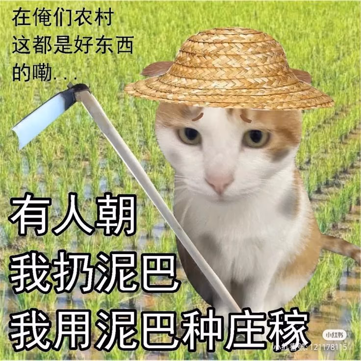 945b6d1b8b0f46e916c189da188e1aae.jpg