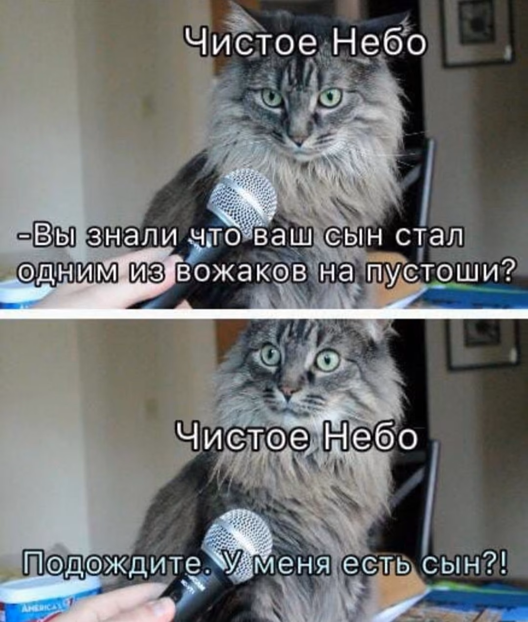 690c2f1c75b2b3329635ca204c098fcc.avif