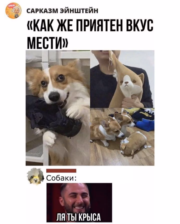 690fb08ef2720a0325977a30c322eb53.avif