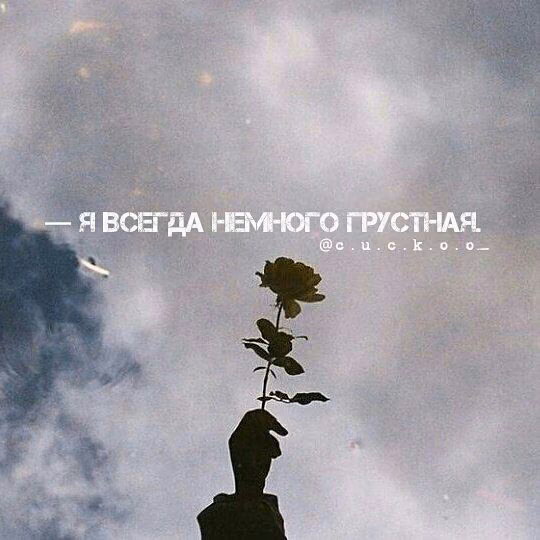 6916105aff2271a33c758c8ca9305d05.avif