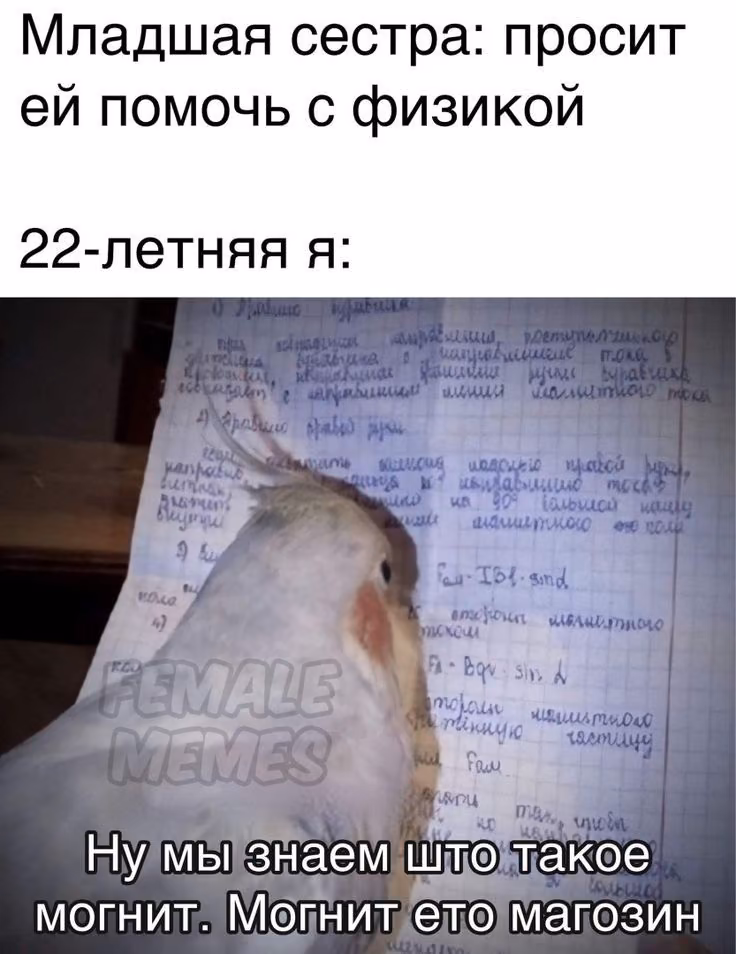 691f9b78444658a5cdbca7c7291012fc.avif