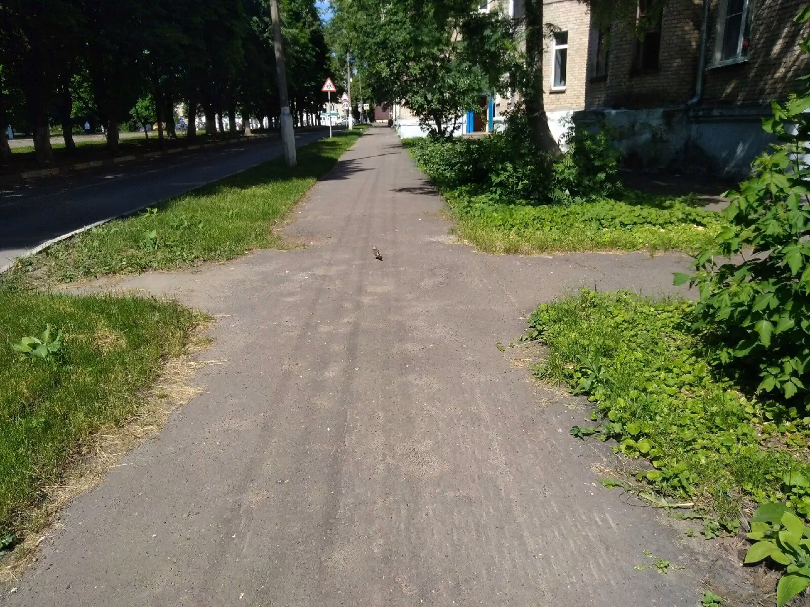 6934caa58885c416f0584d8ddb845459.jpg