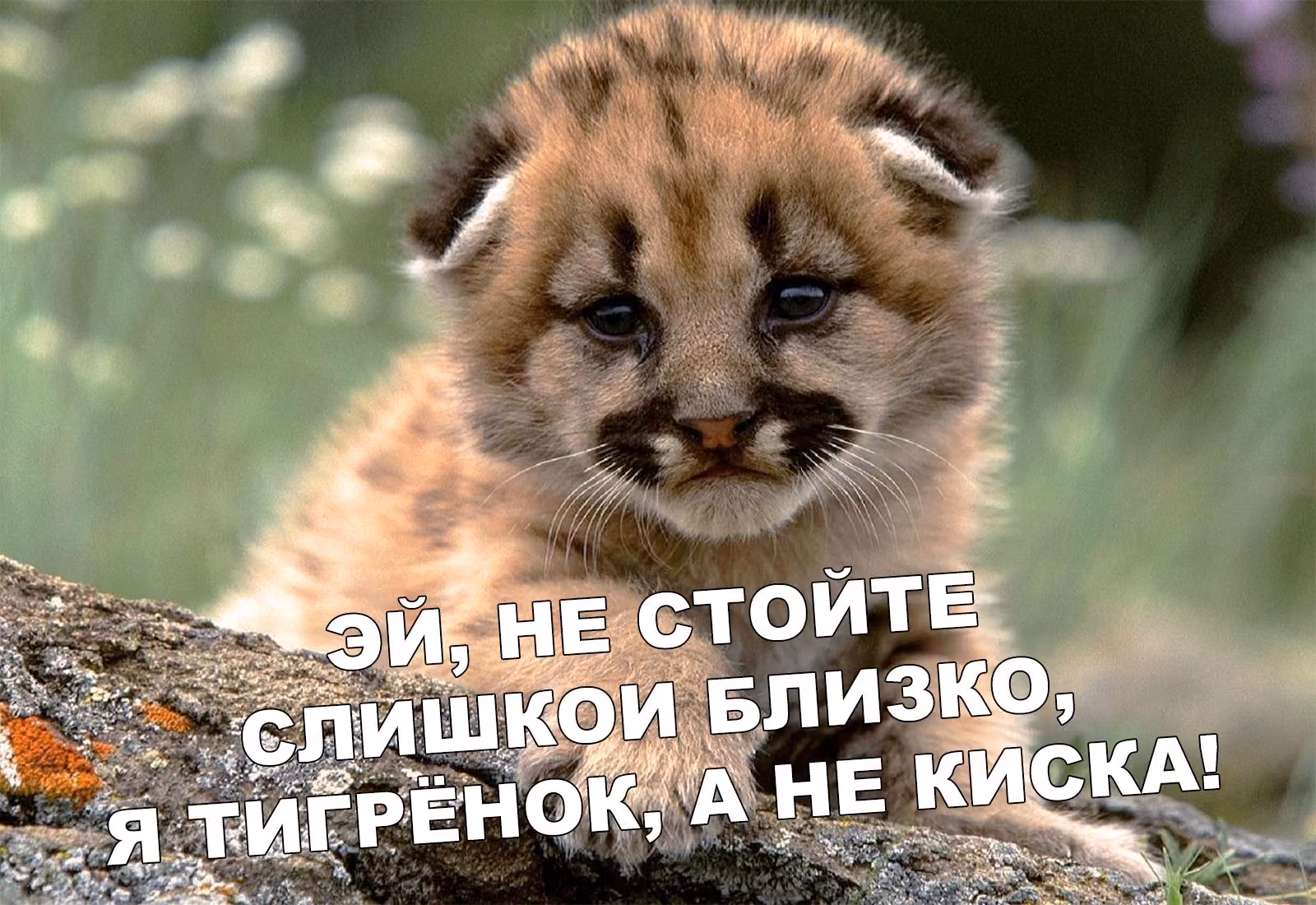 693b45e1bf20be71f24ec5bdd5cc16ab.jpg